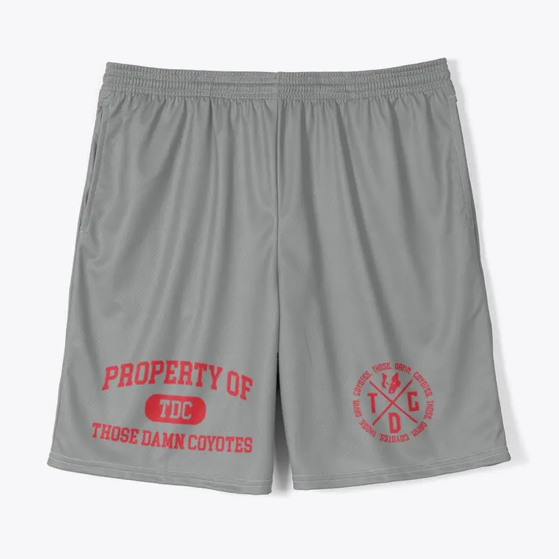 TDC Gym Shorts