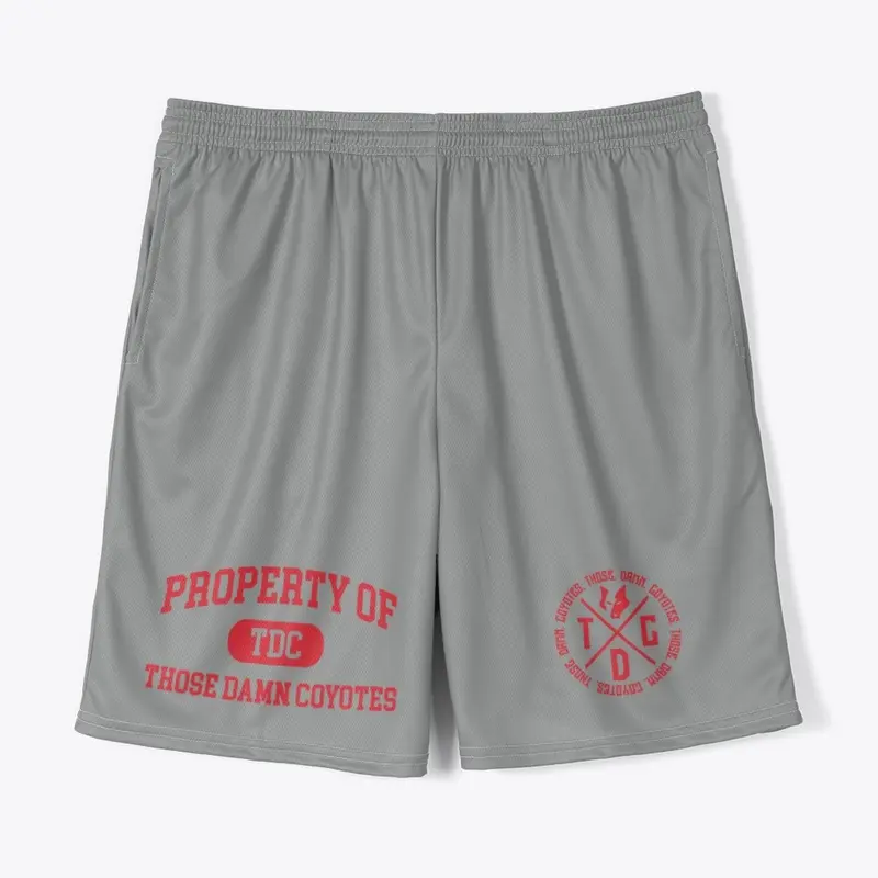 TDC Gym Shorts